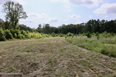 149 Gober Rd, Camden, MS 39045 photo 23