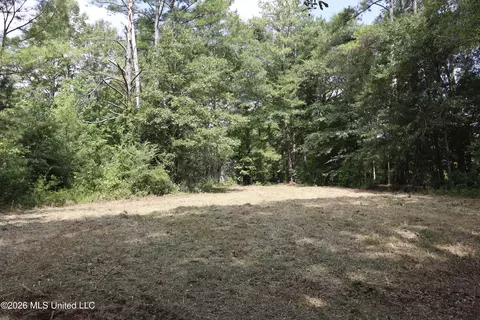 149 Gober Rd, Camden, MS 39045 photo 17