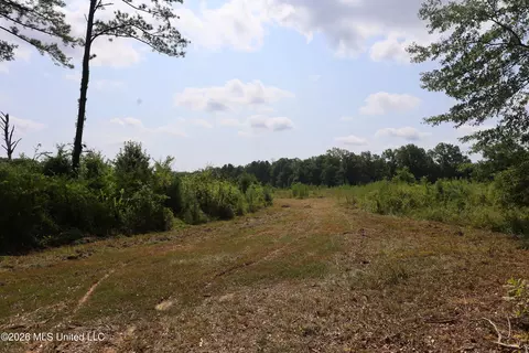 149 Gober Rd, Camden, MS 39045 photo 19