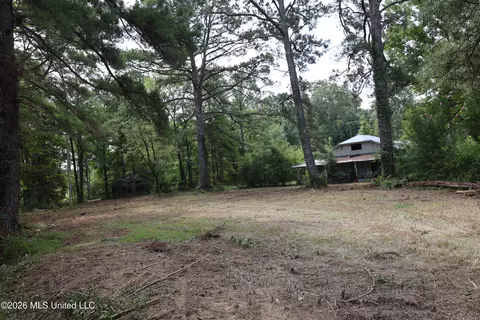 149 Gober Rd, Camden, MS 39045 photo 21