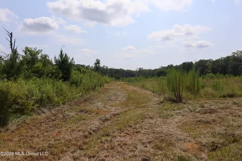149 Gober Rd, Camden, MS 39045 photo 20