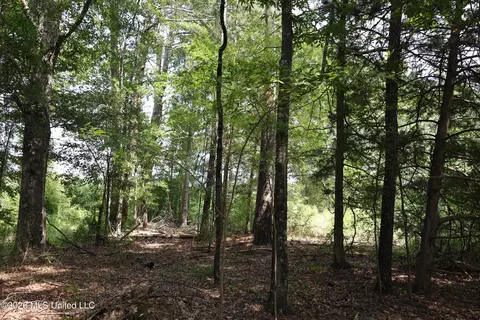 149 Gober Rd, Camden, MS 39045 photo 5