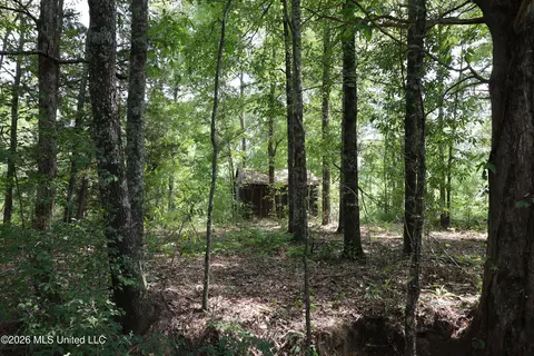 149 Gober Rd, Camden, MS 39045 photo 14