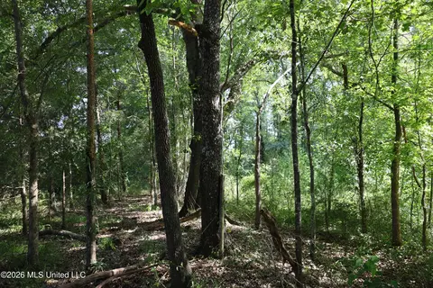 149 Gober Rd, Camden, MS 39045 photo 12
