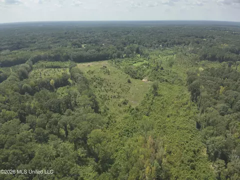 149 Gober Rd, Camden, MS 39045 photo 2