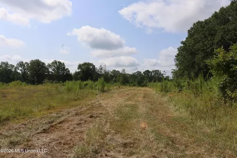 149 Gober Rd, Camden, MS 39045 photo 18