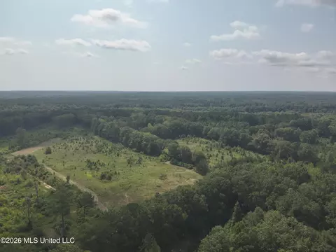 149 Gober Rd, Camden, MS 39045 photo 24