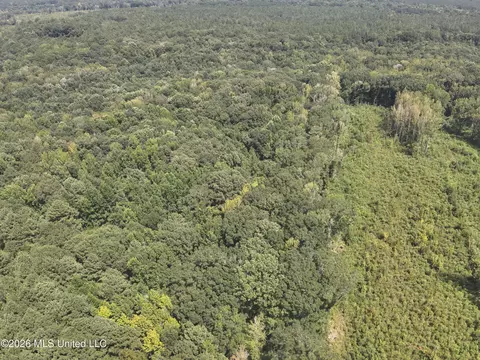 149 Gober Rd, Camden, MS 39045 photo 6