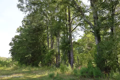 149 Gober Rd, Camden, MS 39045 photo 15