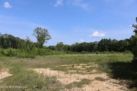 149 Gober Rd, Camden, MS 39045 photo 3