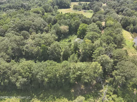 149 Gober Rd, Camden, MS 39045 photo 8
