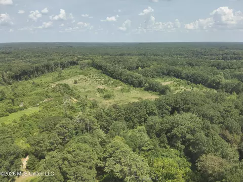 149 Gober Rd, Camden, MS 39045 photo 10
