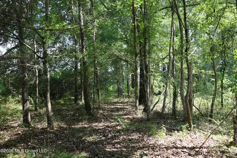 149 Gober Rd, Camden, MS 39045 photo 16
