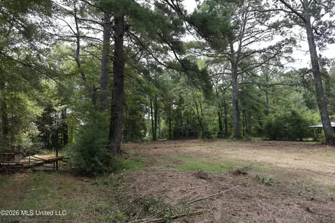 149 Gober Rd, Camden, MS 39045 photo 22