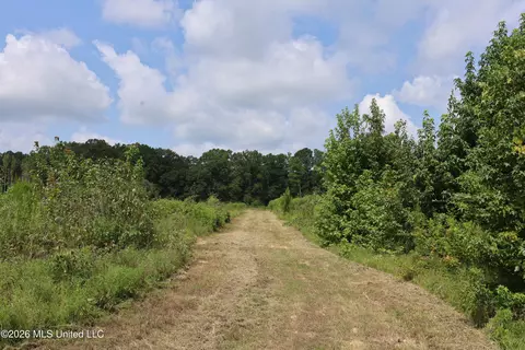 149 Gober Rd, Camden, MS 39045 photo 7