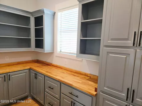 Other - 399 Stump Ridge Rd, Brandon, MS 39047 photo 3 of 16