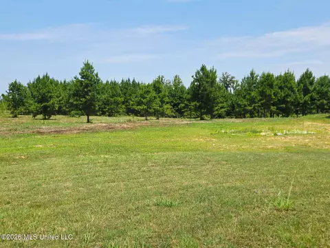 Other - 399 Stump Ridge Rd, Brandon, MS 39047 photo 16 of 16