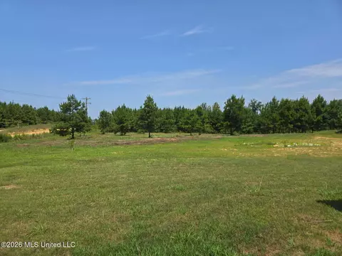 Exterior - 399 Stump Ridge Rd, Brandon, MS 39047 photo 10 of 10