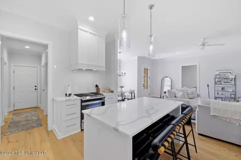 Other - 129 Herons Bay Cir, Madison, MS 39110 photo 3 of 10