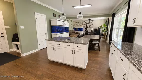 Entry Way - 1598 Carlee Dr, Hernando, MS 38632 photo 3 of 5