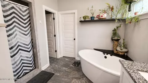 Bath - 1598 Carlee Dr, Hernando, MS 38632 photo 2 of 4