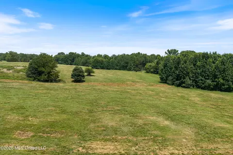 1000 Woolfolk Rd, Senatobia, MS 38668 photo 20