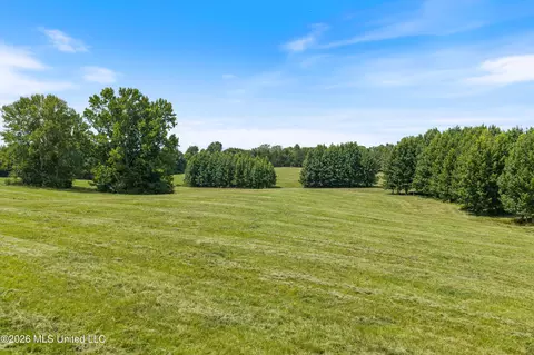 1000 Woolfolk Rd, Senatobia, MS 38668 photo 16