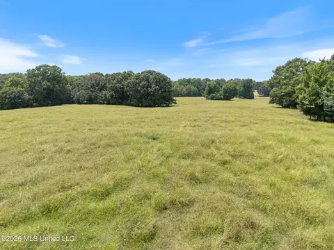1150 Veazey Rd, Coldwater, MS 38618 photo 27
