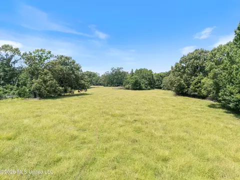 1150 Veazey Rd, Coldwater, MS 38618 photo 26