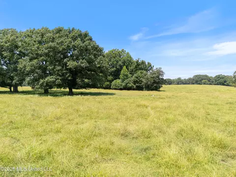 1150 Veazey Rd, Coldwater, MS 38618 photo 18