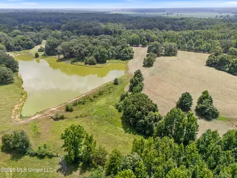 1150 Veazey Rd, Coldwater, MS 38618 photo 12