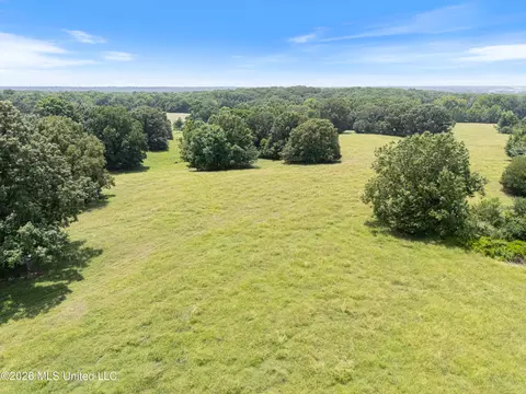 1150 Veazey Rd, Coldwater, MS 38618 photo 25