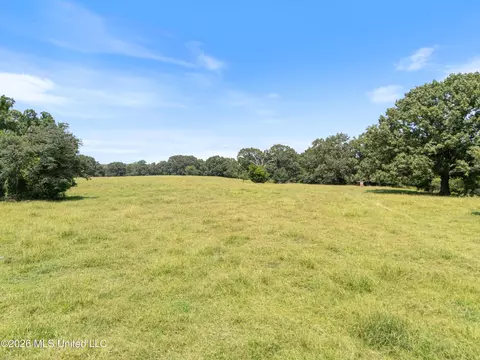 1150 Veazey Rd, Coldwater, MS 38618 photo 19