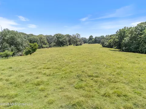 1150 Veazey Rd, Coldwater, MS 38618 photo 24