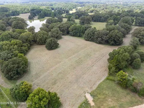 1150 Veazey Rd, Coldwater, MS 38618 photo 4