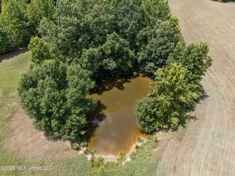 1150 Veazey Rd, Coldwater, MS 38618 photo 14