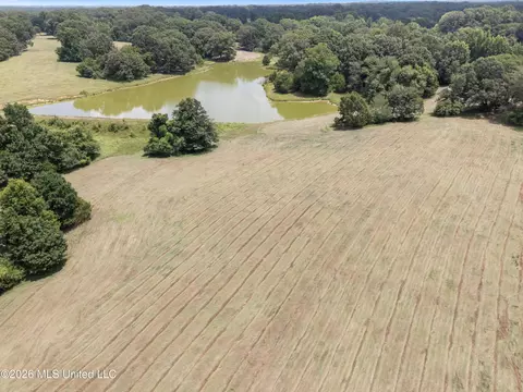 1150 Veazey Rd, Coldwater, MS 38618 photo 5