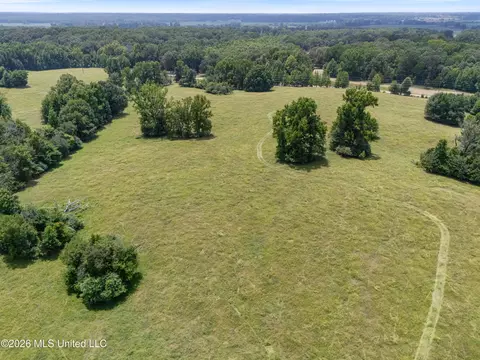 1150 Veazey Rd, Coldwater, MS 38618 photo 10