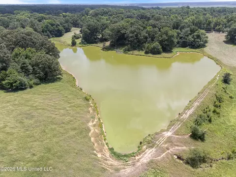1150 Veazey Rd, Coldwater, MS 38618 photo 15