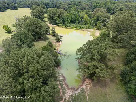 1150 Veazey Rd, Coldwater, MS 38618 photo 8