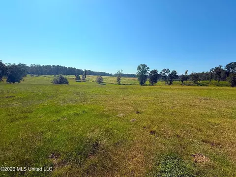 Fortenberry Circle, Mccomb, MS 39648 photo 5