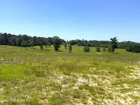 Fortenberry Circle, Mccomb, MS 39648 photo 7