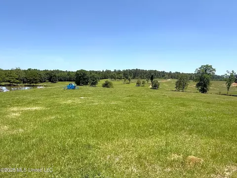 Fortenberry Circle, Mccomb, MS 39648 photo 6