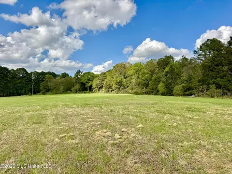 0033 Stump Bridge Rd, Canton, MS 39046 photo 6