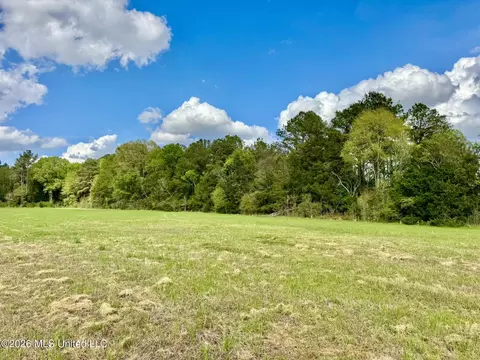0033 Stump Bridge Rd, Canton, MS 39046 photo 22