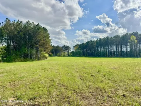 00875 Stump Bridge Rd, Canton, MS 39046 photo 13