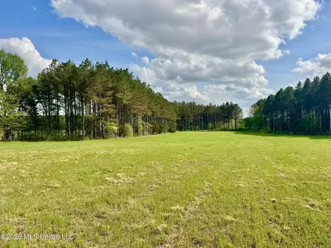 00875 Stump Bridge Rd, Canton, MS 39046 photo 17