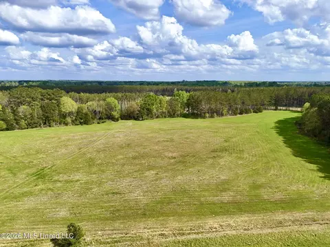 00875 Stump Bridge Rd, Canton, MS 39046 photo 2