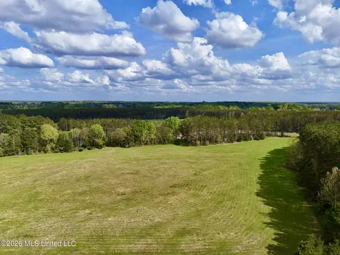 00875 Stump Bridge Rd, Canton, MS 39046 photo 4