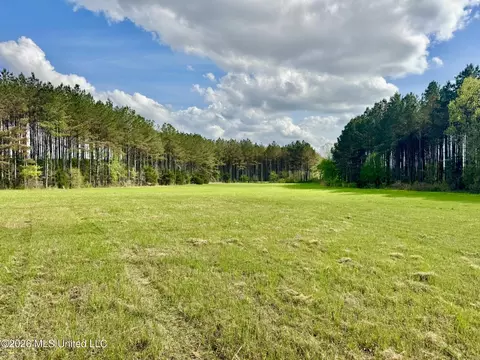 00875 Stump Bridge Rd, Canton, MS 39046 photo 18